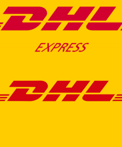 DHL vs DHL Express: Difference and Comparison - Which to Choose in 2024?